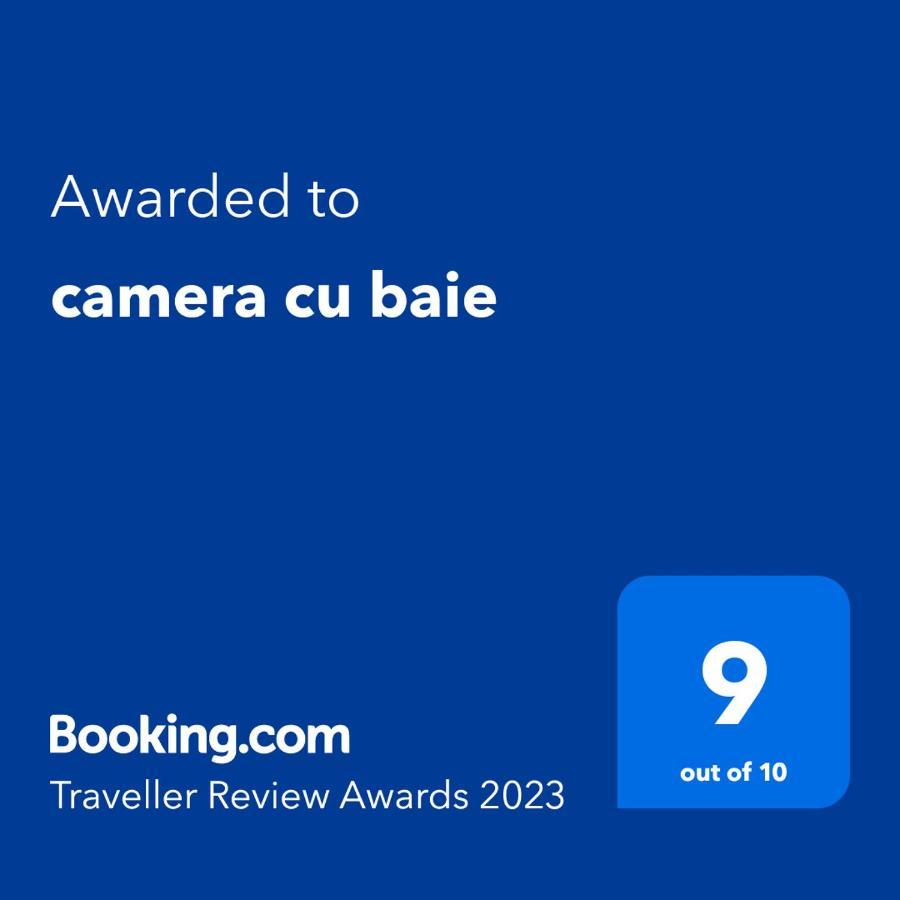 Camera Cu Baie Tina Тимишоара Экстерьер фото