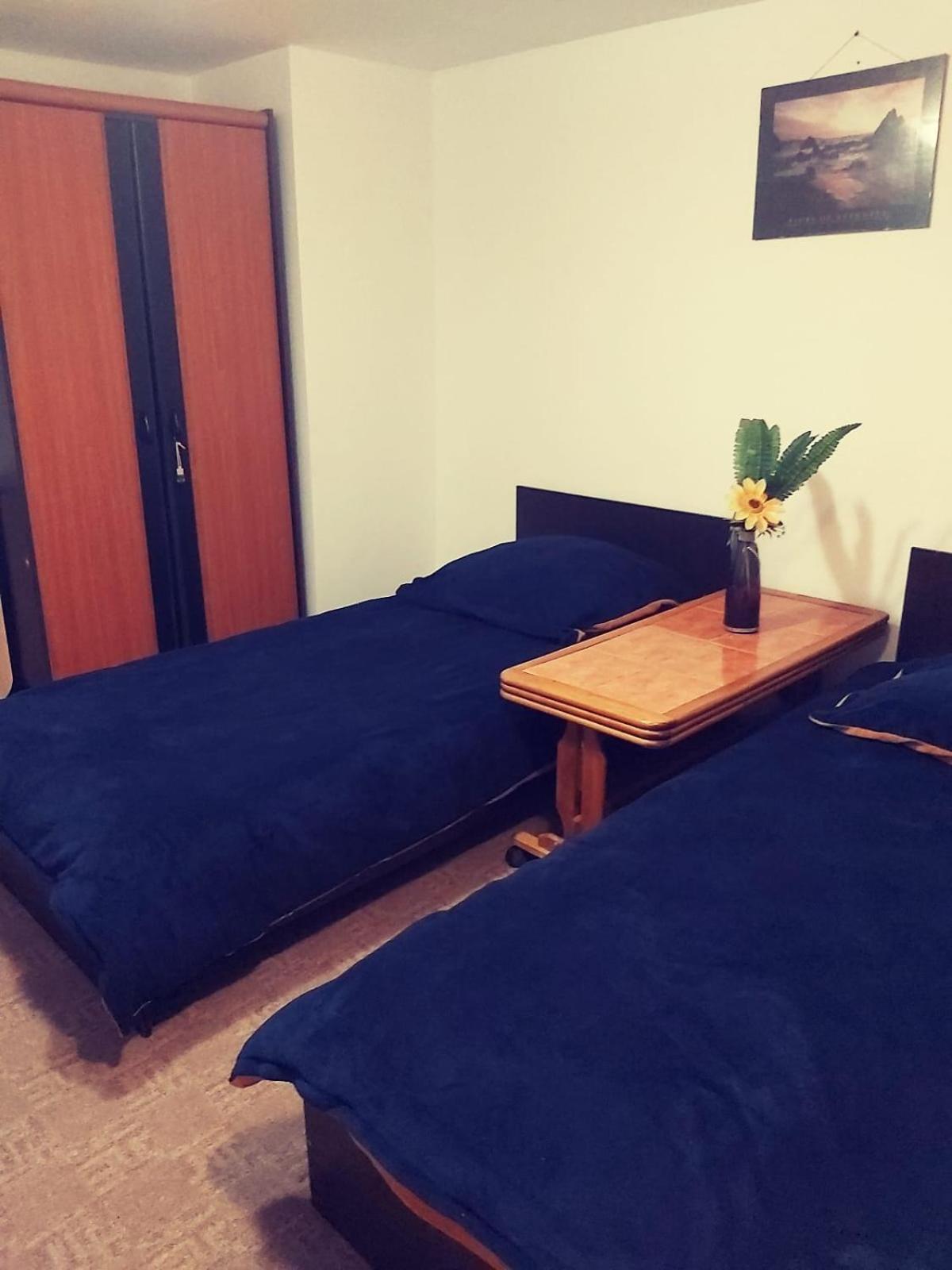 Camera Cu Baie Tina Тимишоара Экстерьер фото